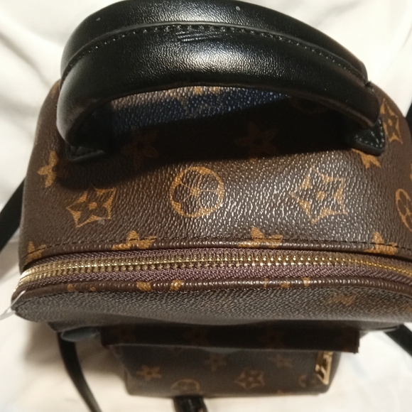 Brown Backpack